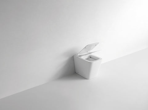 Z 01 Narciso - WC a terra filo muro