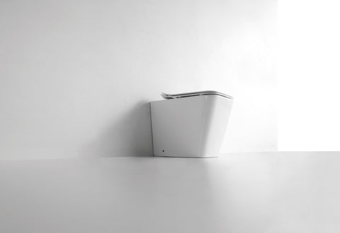 Z 01 Narciso - WC a terra filo muro