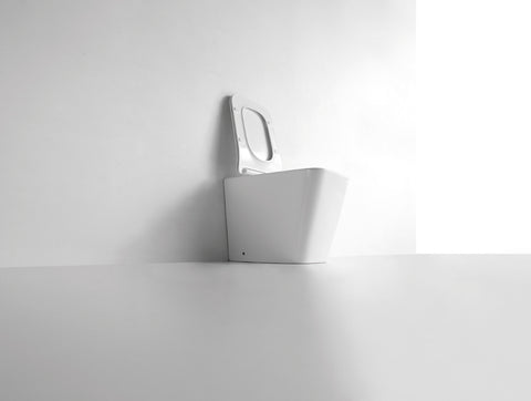 Z 01 Narciso - WC a terra filo muro