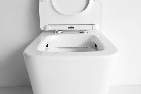 Z 01 Narciso - WC a terra filo muro