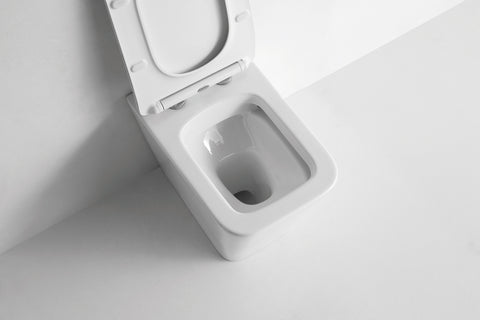 Z 01 Narciso - WC a terra filo muro