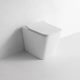 Z 01 Narciso - WC a terra filo muro